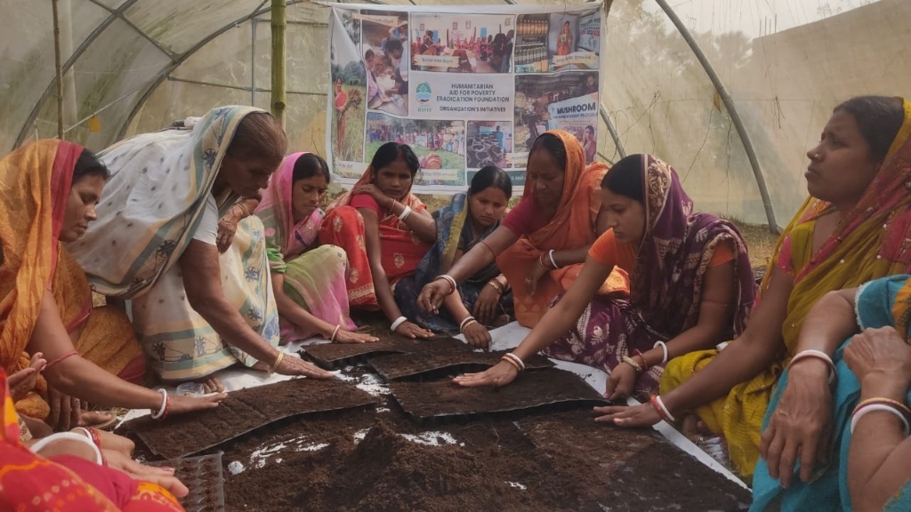 Farmers Field School